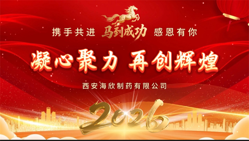 心聚力，赢未来｜西安海欣制药有限公司2026年年会圆满举行